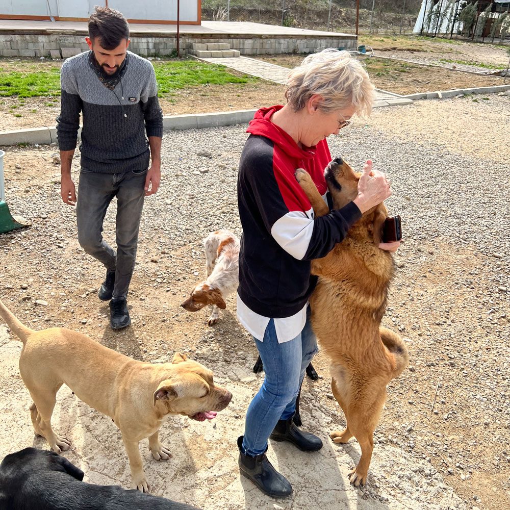 Barbara Schellenberg im Tierheim in der Türkei. Ein Hund springt an ihr hoch, zwei weitere sowie ehrenamtlicher Helfer sind im Hintergrund zu sehen.